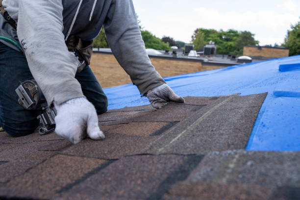 Bryn Mawr Skyway, WA Roofing Contractor Company