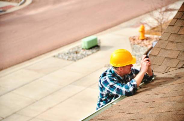 Roof Gutter Cleaning in Bryn Mawr Skyway, WA